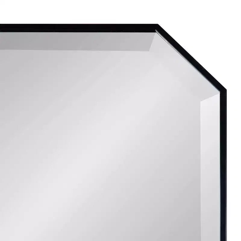 Specchio da parete a figura intera 16 x 48 pollici | Vetro smussato, con cornice, nero o oro