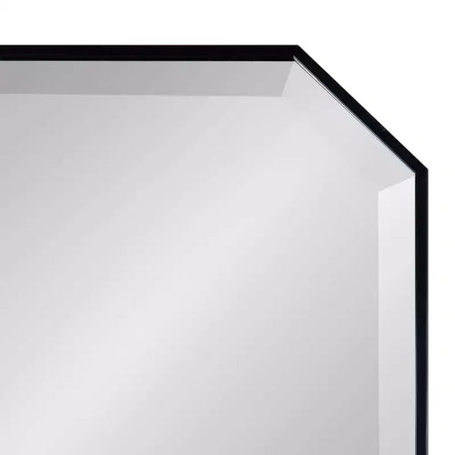 Specchio da parete a figura intera 16 x 48 pollici | Vetro smussato, con cornice, nero o oro