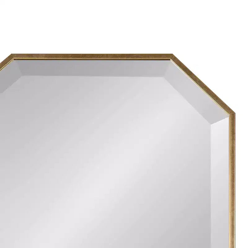 Specchio da parete a figura intera 16 x 48 pollici | Vetro smussato, con cornice, nero o oro