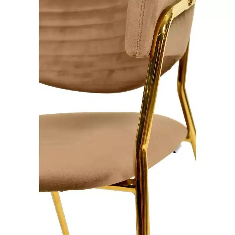 Poltrona d'accento in pelle e velluto con base in acciaio inossidabile | Sedia da pranzo ergonomica