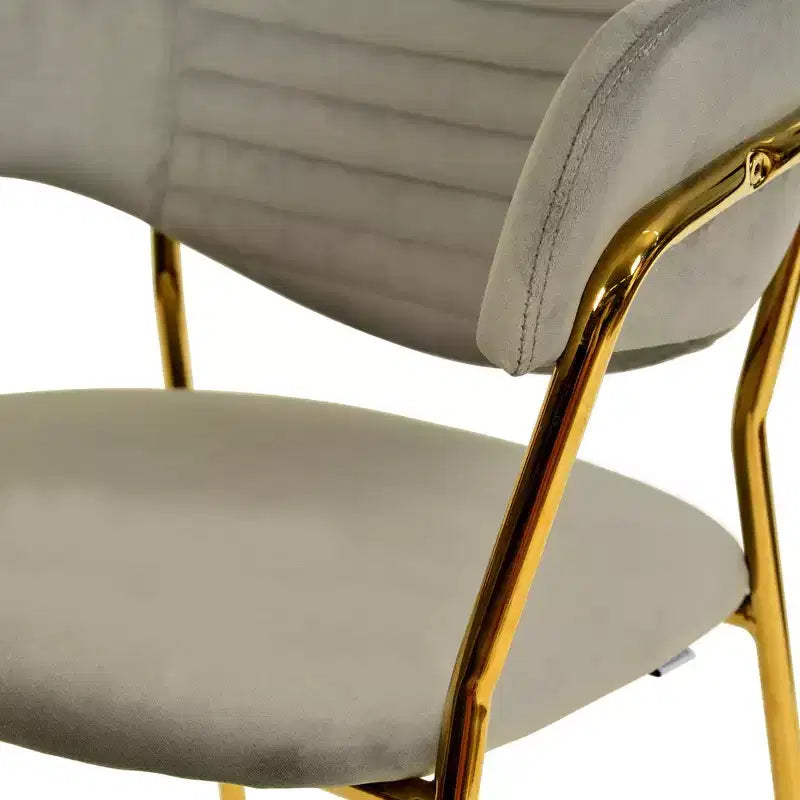 Poltrona d'accento in pelle e velluto con base in acciaio inossidabile | Sedia da pranzo ergonomica