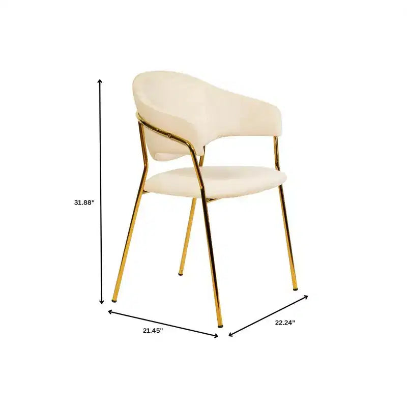 Poltrona d'accento in pelle e velluto con base in acciaio inossidabile | Sedia da pranzo ergonomica