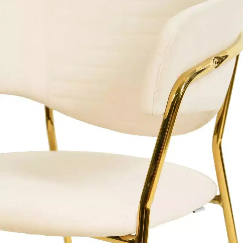 Poltrona d'accento in pelle e velluto con base in acciaio inossidabile | Sedia da pranzo ergonomica