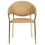 Poltrona d'accento in pelle e velluto con base in acciaio inossidabile | Sedia da pranzo ergonomica
