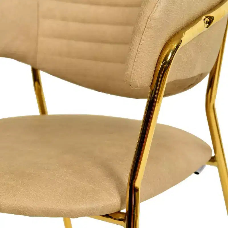 Poltrona d'accento in pelle e velluto con base in acciaio inossidabile | Sedia da pranzo ergonomica